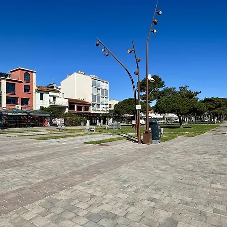 2 Pieces 3 Couchages Sur Ar060-04f Argeles-sur-Mer