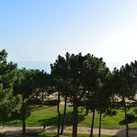 2 Pieces 3 Couchages Sur Ar060-04f Apartment Argeles-sur-Mer